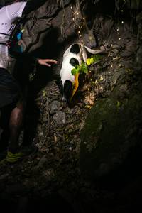 BIB: 
                            <button type="button" onclick="openModal(13604897)" class="btn btn-primary btn-sm float-right btn-popup" data-toggle="modal" data-target=".modal-high-quality">
                        <i class="fas fa-shopping-cart"></i> Add to Cart
                    </button>
                                            <button type="button" onclick="isThisMe(13604897, true)" class="btn btn-success btn-sm float-right btn-popup btn-isme hidden" data-toggle="tooltip" data-placement="bottom" title="นี่คือรูปของคุณใช่ไหม คลิกที่นี่เพื่อเอาเข้าอัลบั้ม">
                        <i class="fas fa-plus"></i> Add to album
                    </button>
                    <button type="button" onclick="isThisMe(13604897, false)" class="btn btn-warning btn-sm float-right btn-popup btn-isnotme hidden">
                        <i class="fas fa-ban"></i> Remove from album
                    </button>